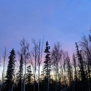 Meet your Posher, Valentina